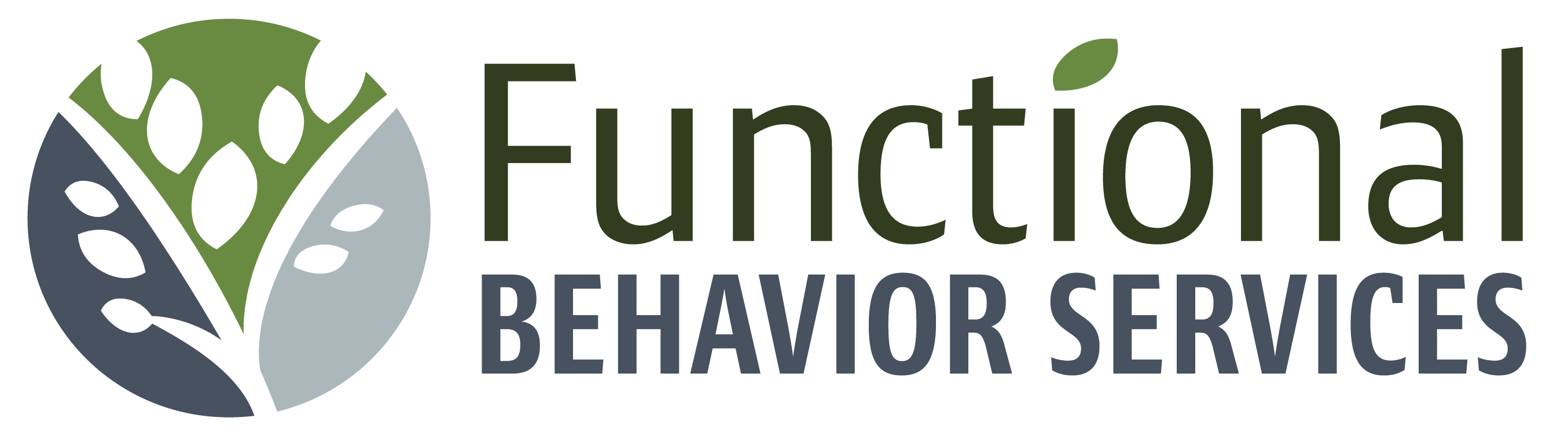 Functional Behavior Services